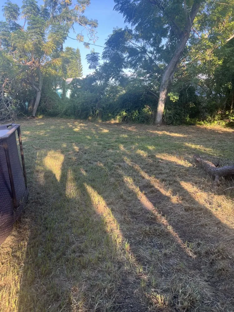 Local lawn care service in Eustis, FL by David's Handyman and Lawn