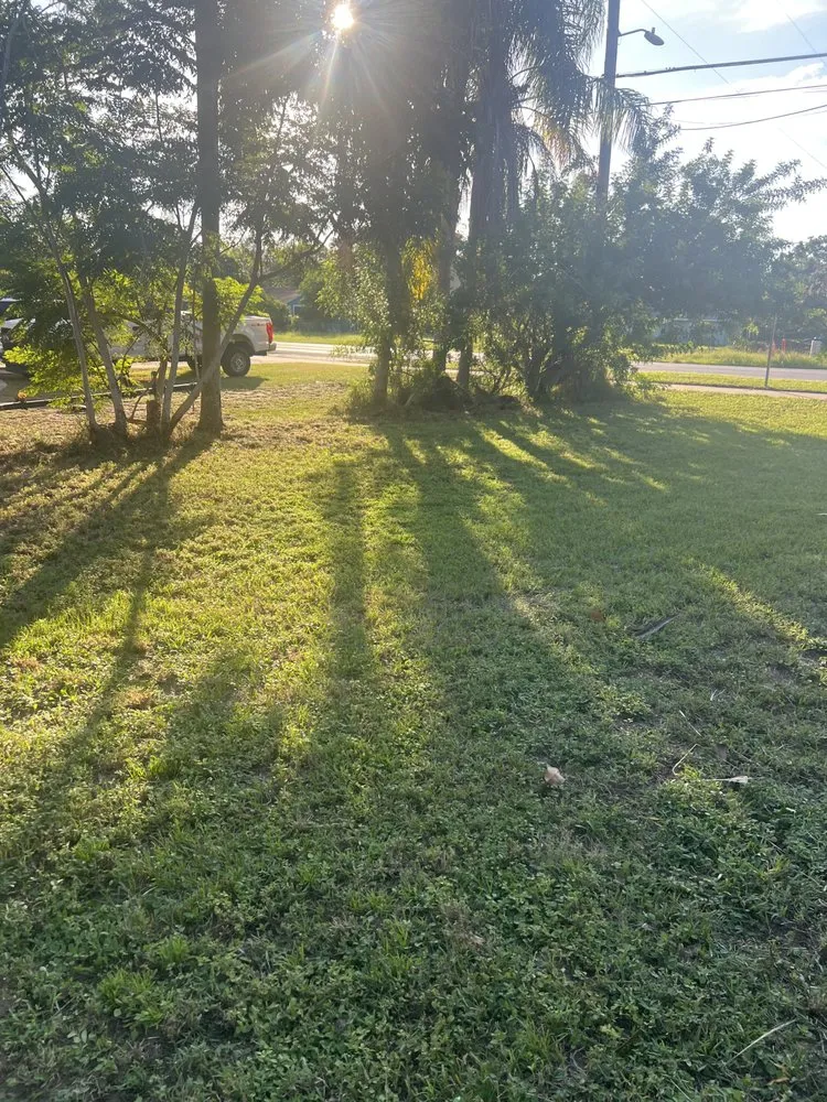 Local lawn care service in Eustis, FL - David's Handyman and Lawn