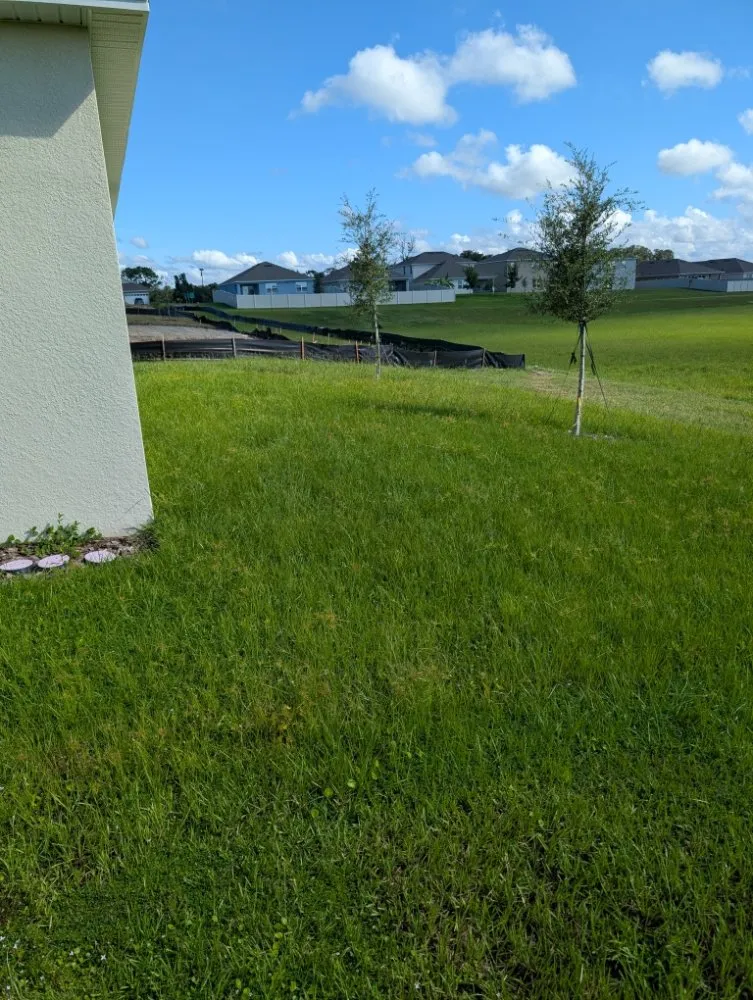 Reliable landscape design in Eustis, FL - David's Handyman and Lawn