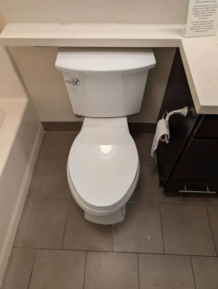 Custom landscaping services in Eustis, FL - David's Handyman and Lawn