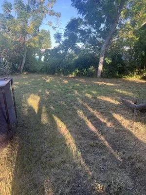 David's Handyman and Lawn Logo