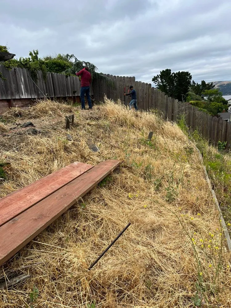 Reliable landscape installation for year-round maintenance across Fairfield, CA - David's Landscape and Construction