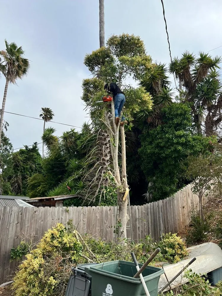 Custom landscape installation in Fairfield, CA by David's Landscape and Construction