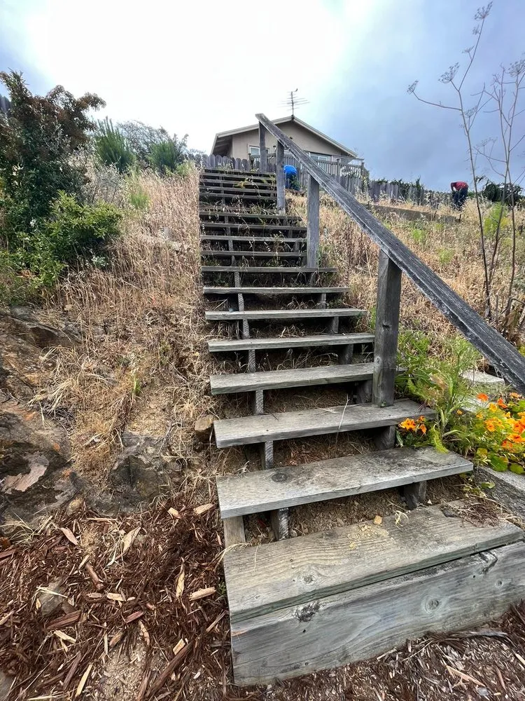 Expert landscape installation in Fairfield, CA by David's Landscape and Construction