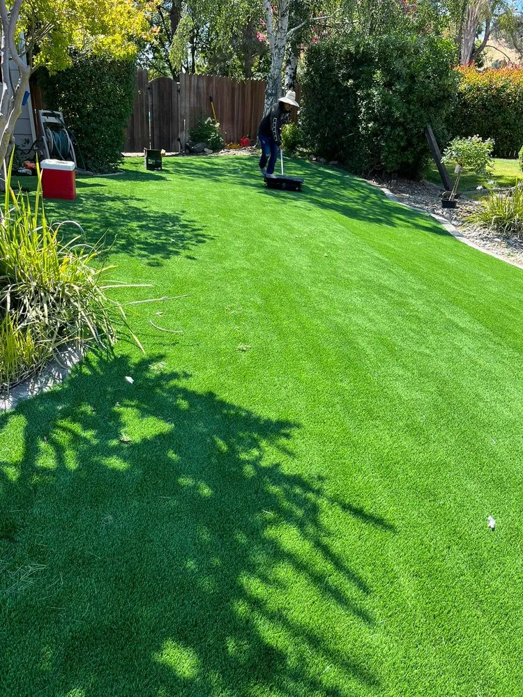 Professional lawn care service in Fairfield, CA by David's Landscape and Construction