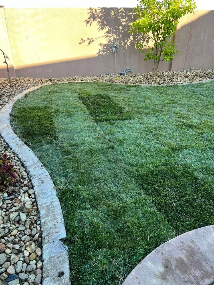 Expert landscape installation in Fairfield, CA - David's Landscape and Construction