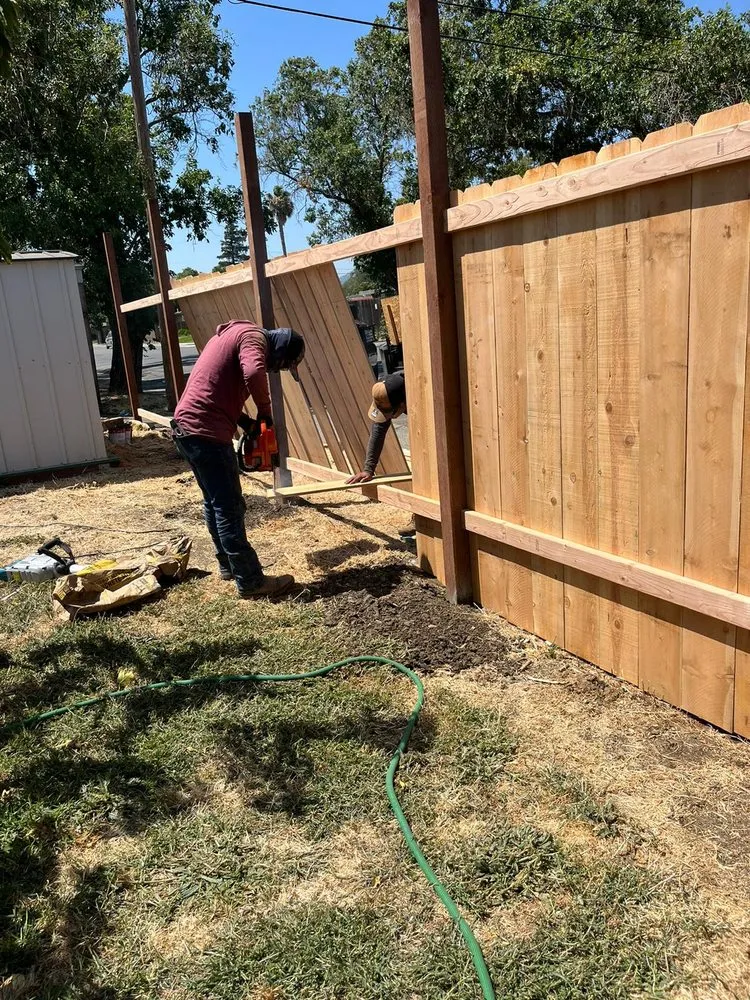 Affordable lawn care service for year-round maintenance in Fairfield, CA by David's Landscape and Construction