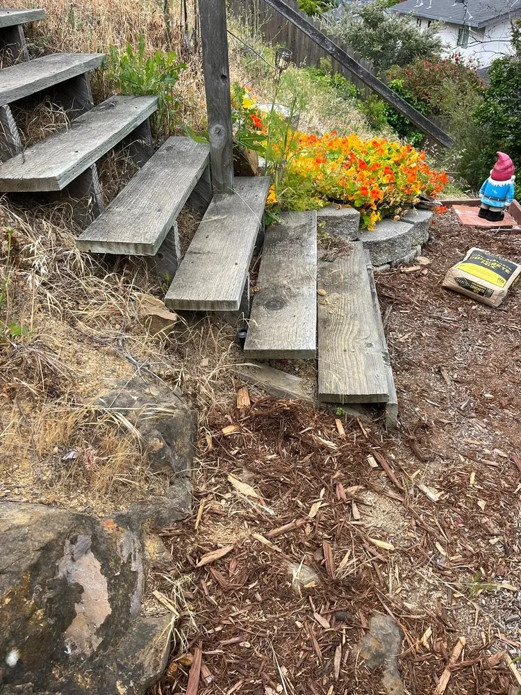 Reliable yard cleanup service experts serving Fairfield, CA - David's Landscape and Construction