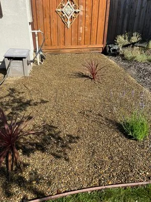 David's Landscape and Construction Logo