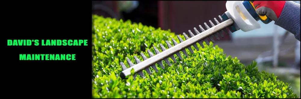 Reliable residential landscaping for residential properties in White City, OR by David's Landscape Maintenance