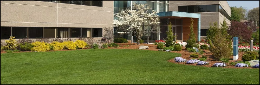 Local yard maintenance for homes across White City, OR - David's Landscape Maintenance