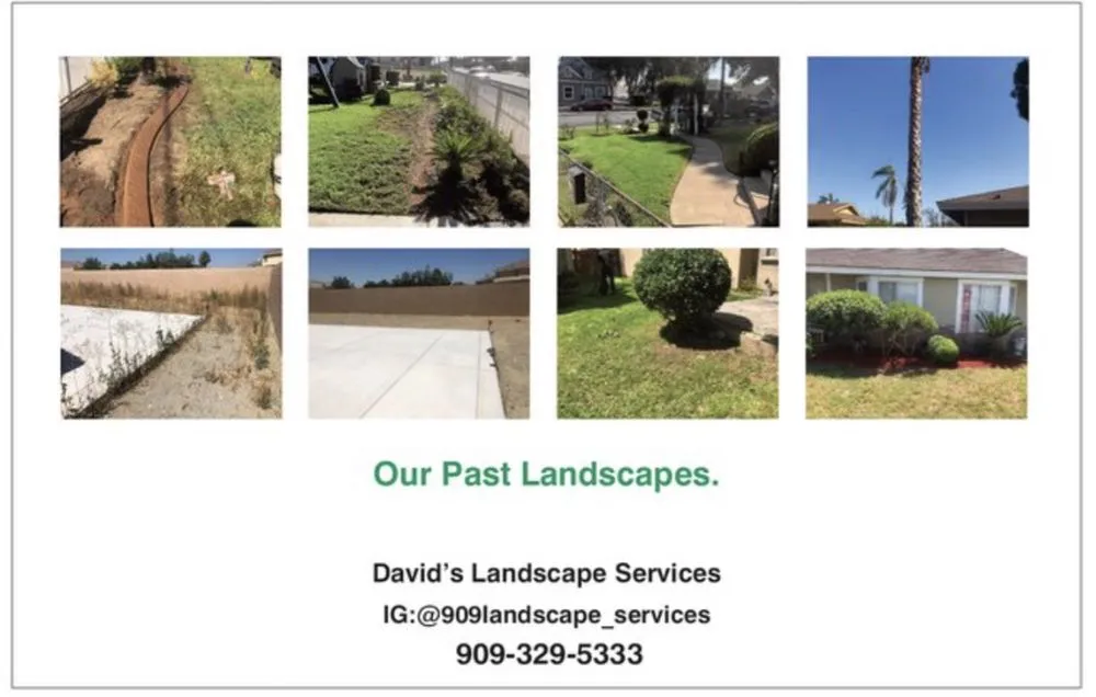 Custom yard maintenance for homes across Fontana, CA - Davids Landscape Services