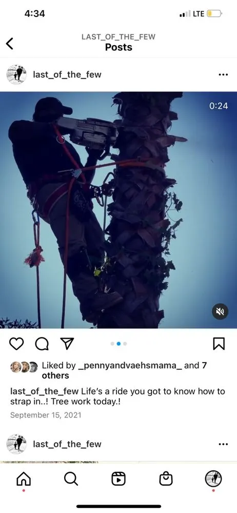 Professional landscape design experts serving Fontana, CA - Davids Landscape Services