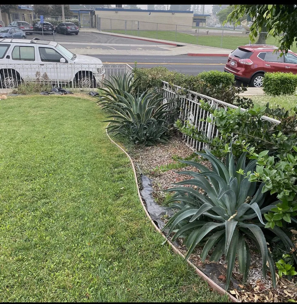 Local yard cleanup service in Fontana, CA by Davids Landscape Services