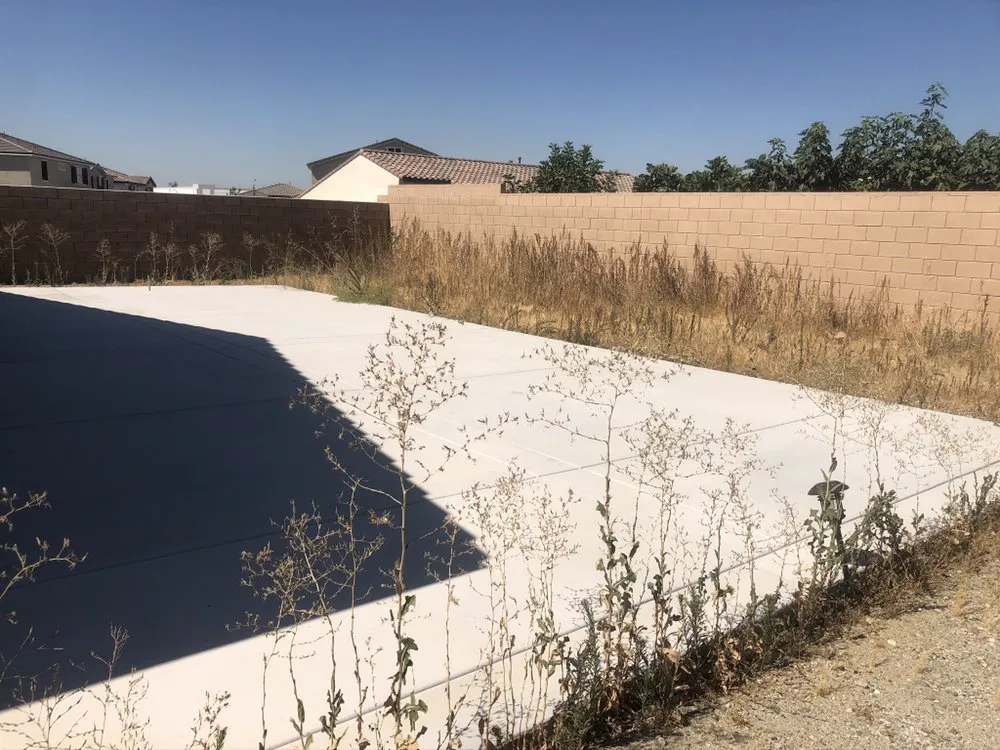 Expert landscaping services for year-round maintenance in Fontana, CA by Davids Landscape Services