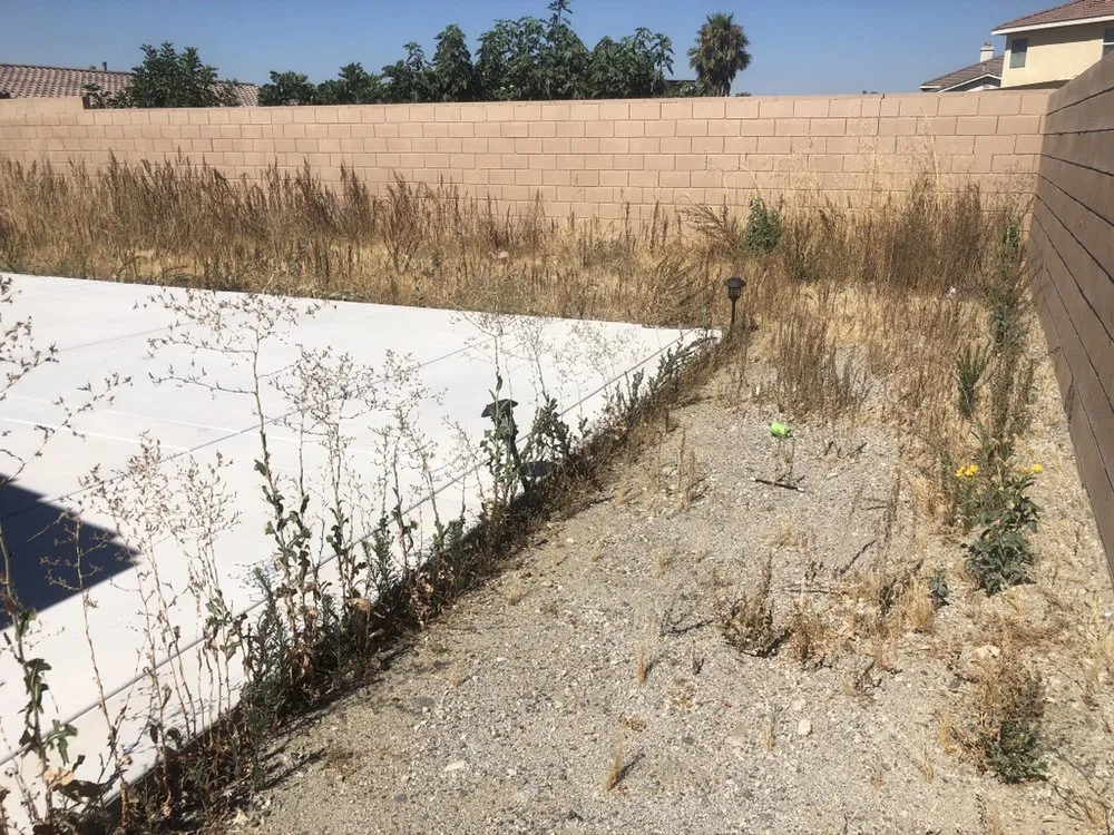 Affordable yard maintenance near you in Fontana, CA by Davids Landscape Services