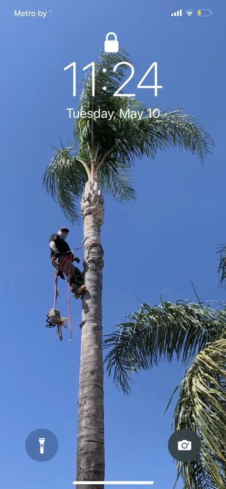 Custom lawn care service experts serving Fontana, CA - Davids Landscape Services