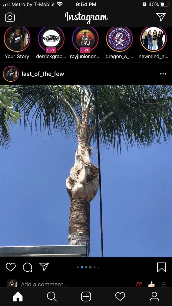 Local outdoor landscaping experts serving Fontana, CA - Davids Landscape Services