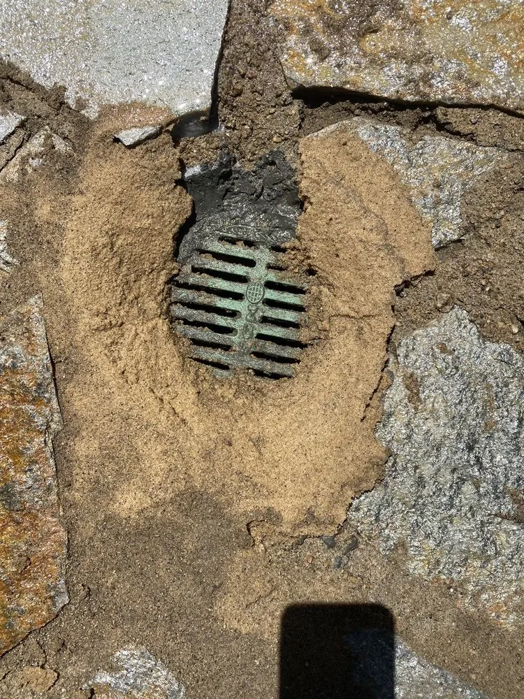 Top-rated yard cleanup service in American Canyon, CA by Davids Landscaping