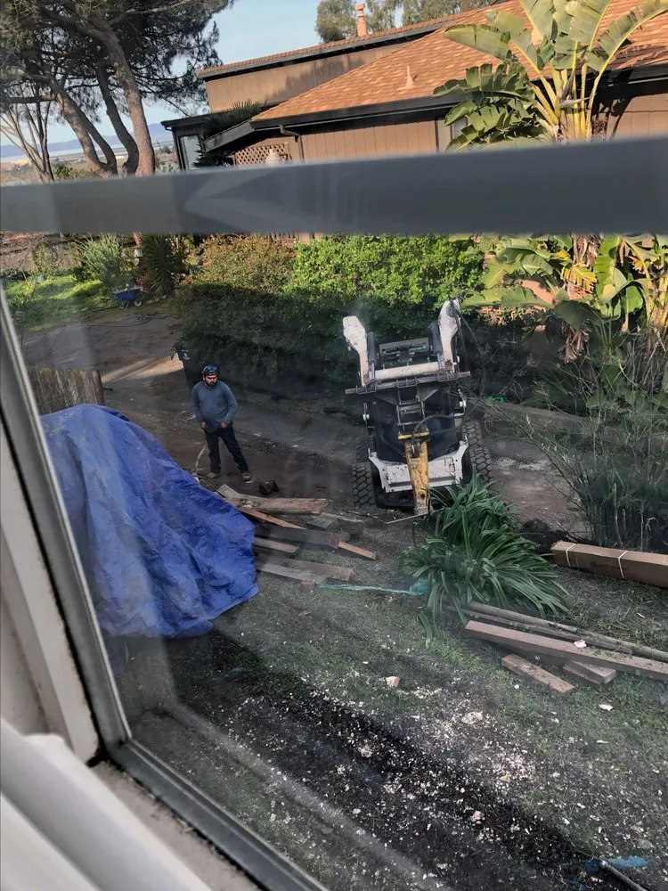 Affordable lawn care service in American Canyon, CA - Davids Landscaping