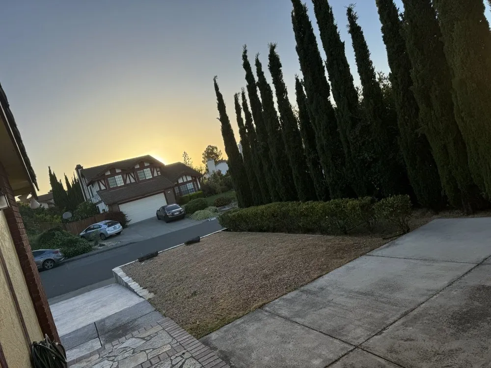 Professional garden landscaping for homes in American Canyon, CA by Davids Landscaping