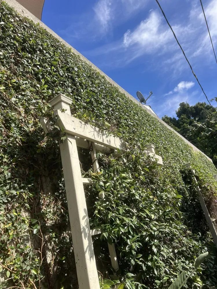 Reliable lawn mowing service for year-round maintenance across Bellflower, CA - David’s Landscaping