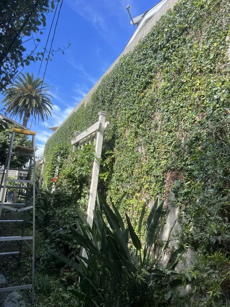 Local outdoor landscaping near you across Bellflower, CA - David’s Landscaping