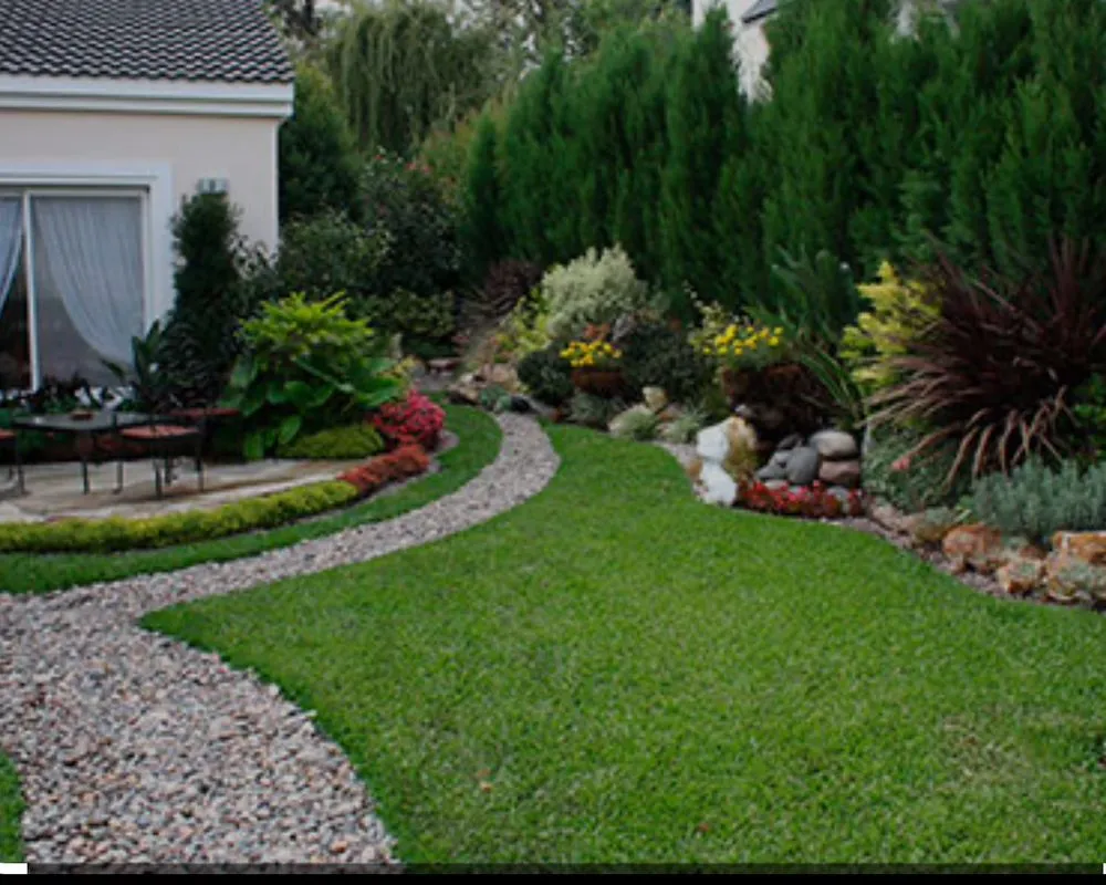 Affordable yard cleanup service in Bellflower, CA - David’s Landscaping