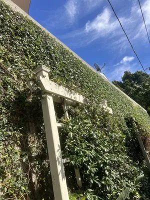 David’s Landscaping