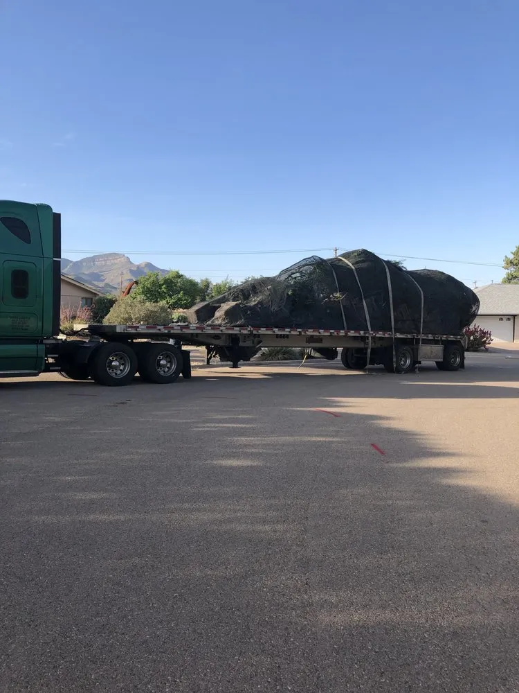 Reliable landscaping services for residential properties in Alamogordo, NM by David's Landscaping Design