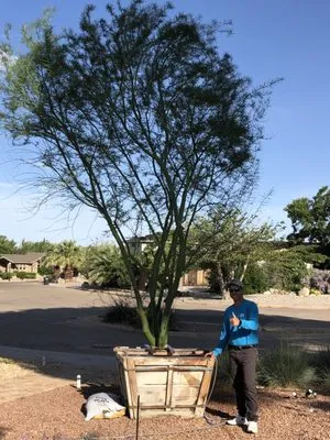 David's Landscaping Design