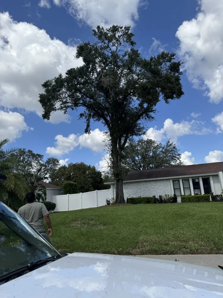 Top-rated landscape design in Dover, FL - David's Landscaping