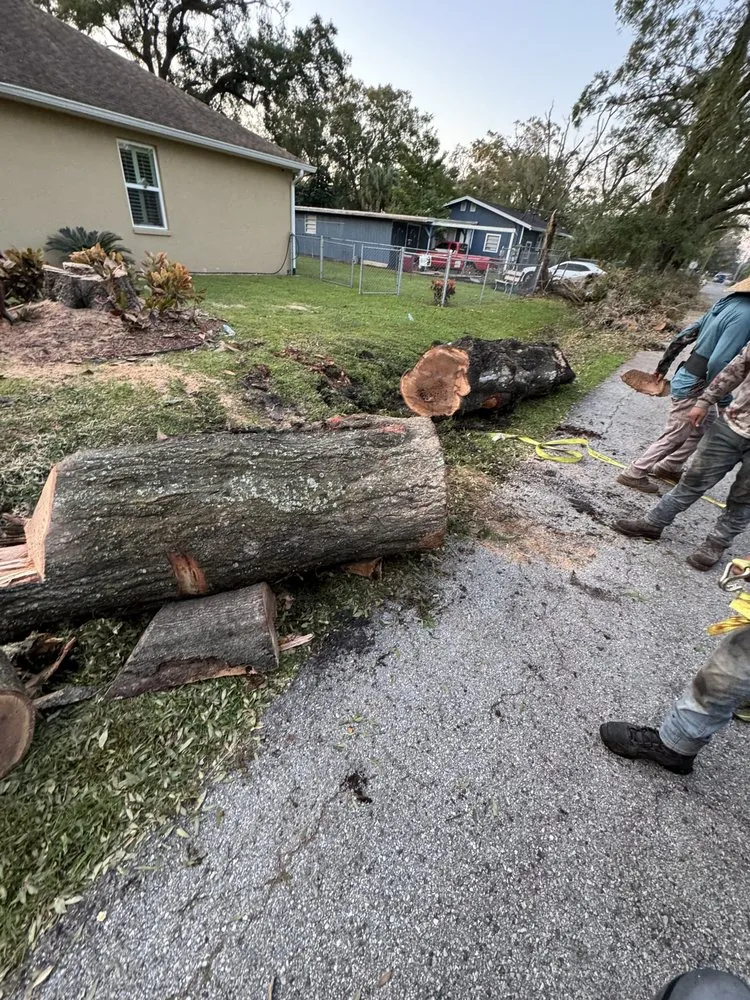 Custom landscape installation in Dover, FL by David's Landscaping