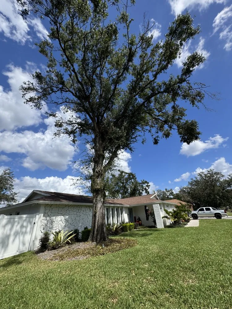 Top-rated garden landscaping for outdoor upgrades in Dover, FL by David's Landscaping