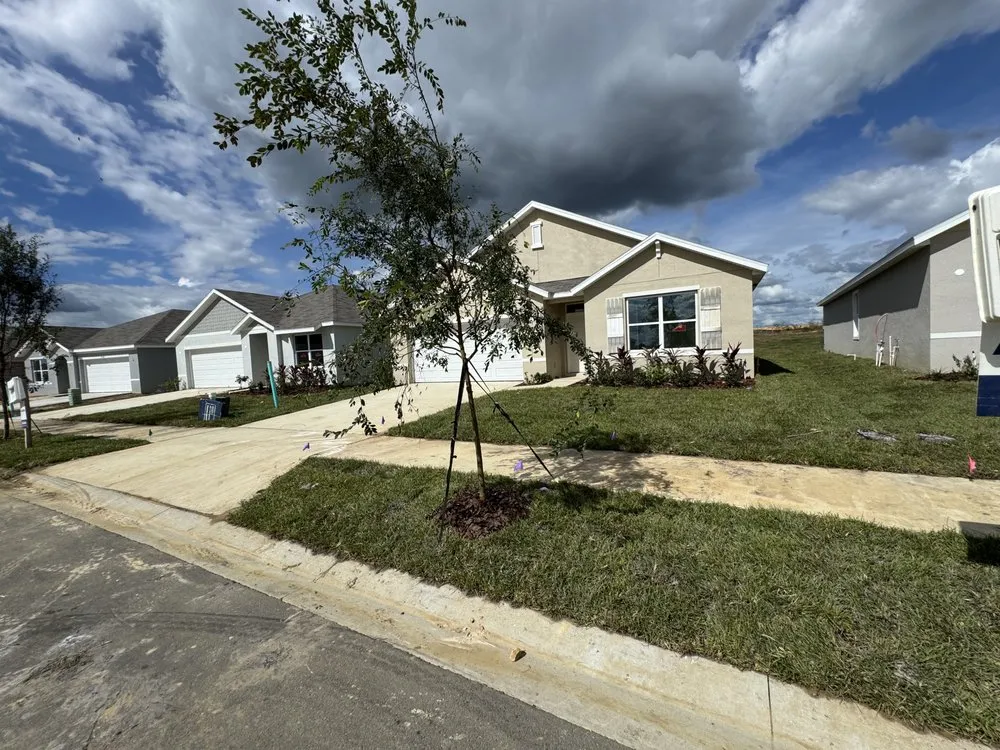 Local lawn care service experts serving Dover, FL - David's Landscaping