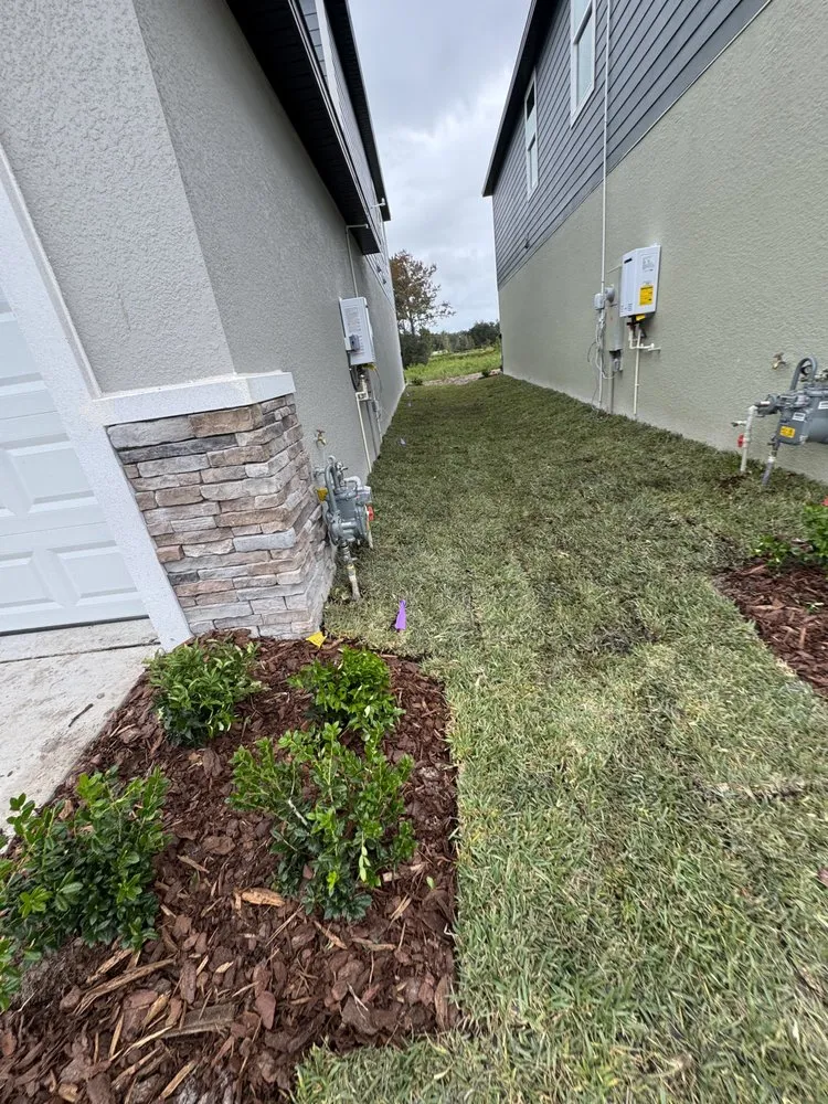 Trusted landscape design in Dover, FL - David's Landscaping