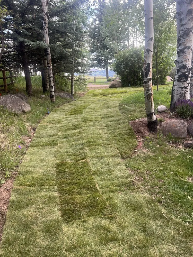 Affordable yard cleanup service near you in Evans, CO by David’s landscaping