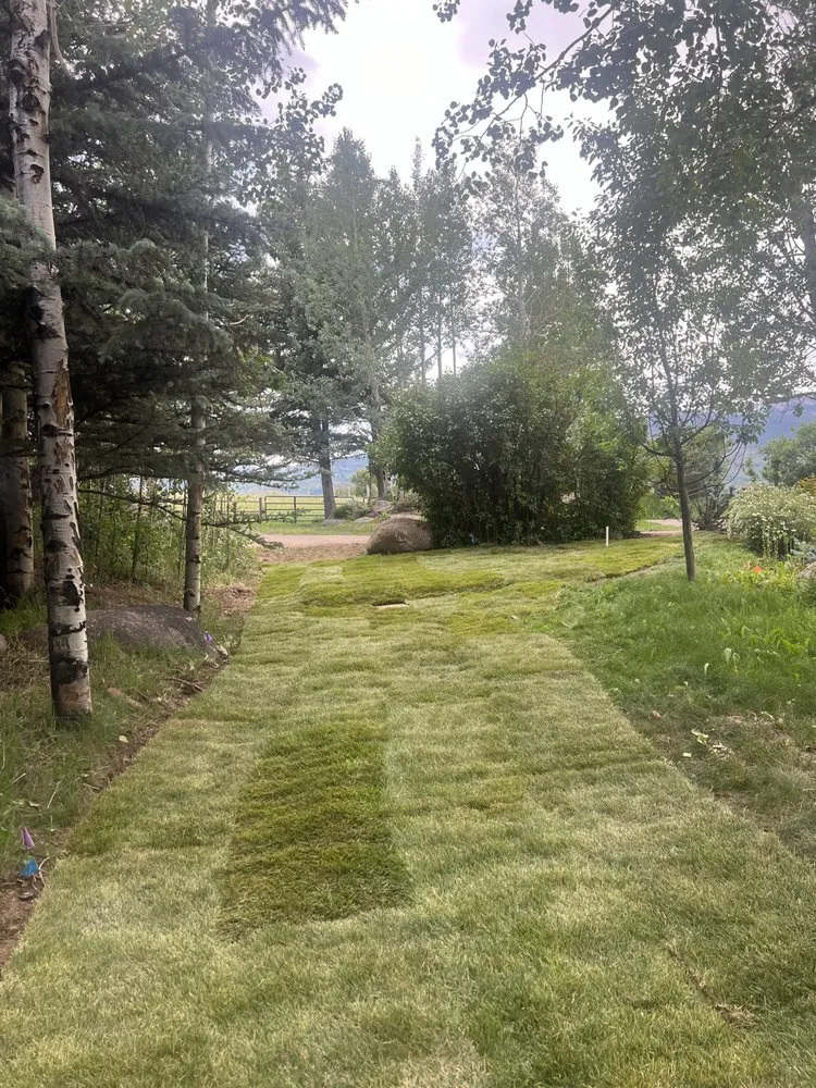 Top-rated outdoor landscaping in Evans, CO by David’s landscaping