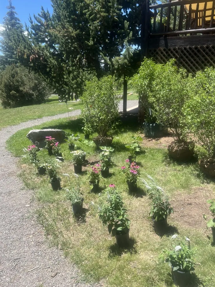 Reliable yard cleanup service for homes in Evans, CO by David’s landscaping