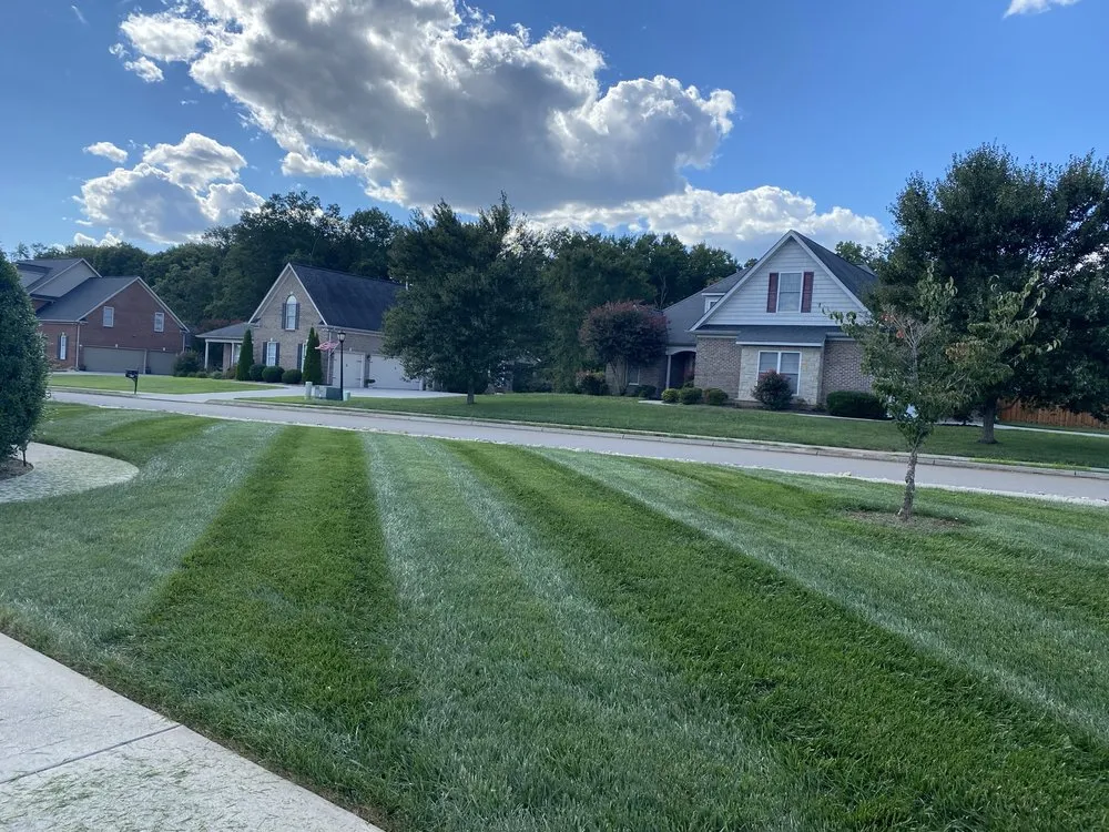 Local landscape design near you across Knoxville, TN - David's Landscaping