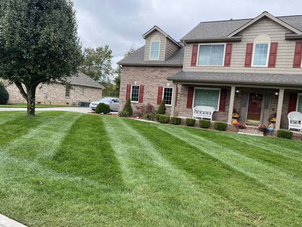 Expert yard cleanup service for year-round maintenance in Knoxville, TN by David's Landscaping