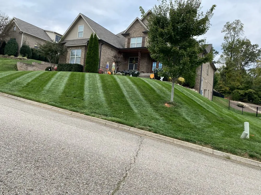 Reliable landscape design in Knoxville, TN - David's Landscaping