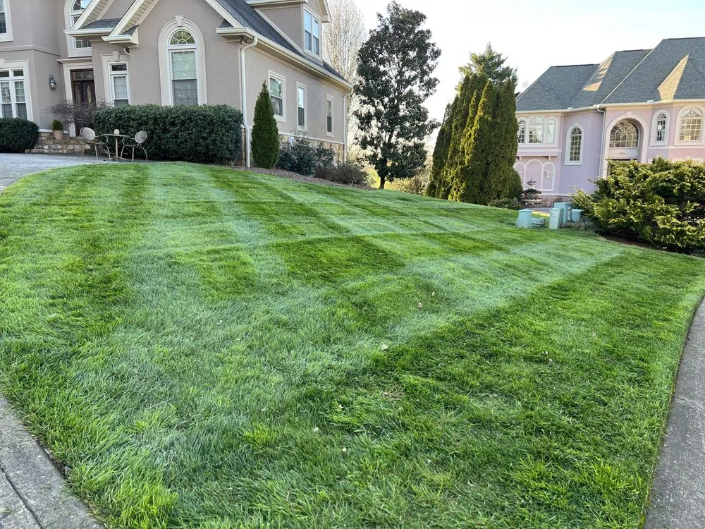 Expert landscape installation for beautiful yards in Knoxville, TN by David's Landscaping