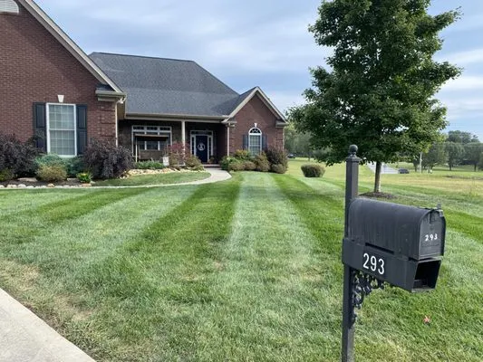 David's Landscaping Logo