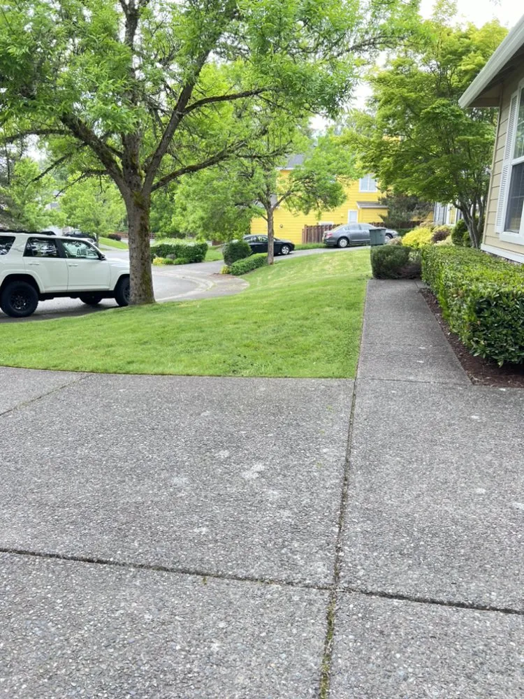 Expert landscape design experts serving Seattle, WA - David’s Landscaping NW