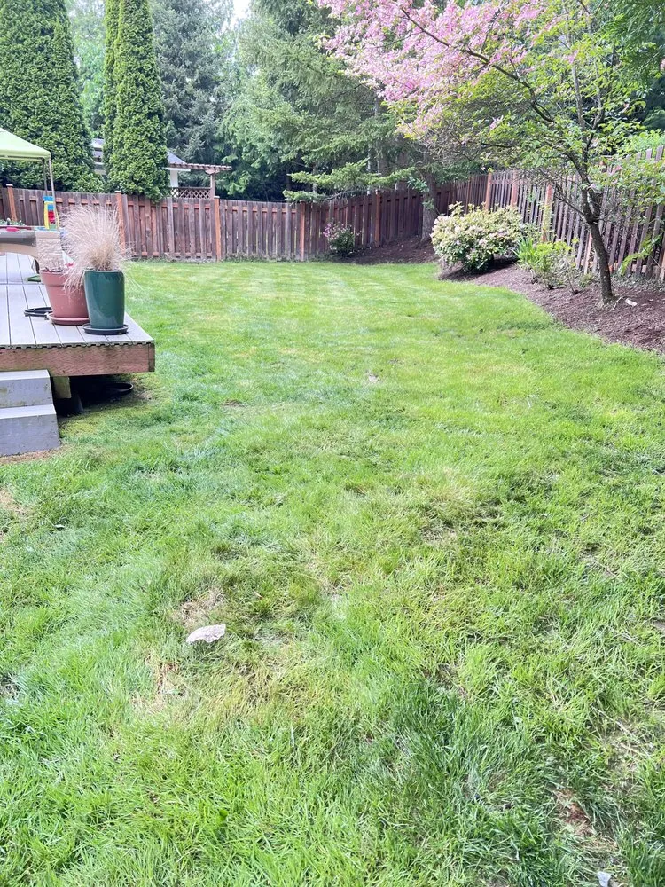 Expert landscaping services in Seattle, WA by David’s Landscaping NW
