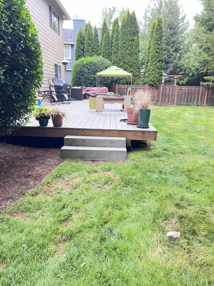 Expert residential landscaping with custom design in Seattle, WA by David’s Landscaping NW