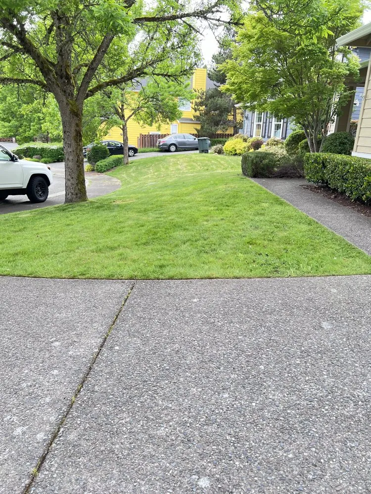 Top-rated landscape installation in Seattle, WA - David’s Landscaping NW