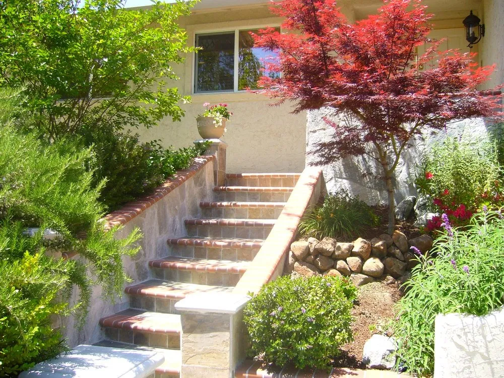 Reliable yard cleanup service in Livermore, CA by David's Landscaping Service