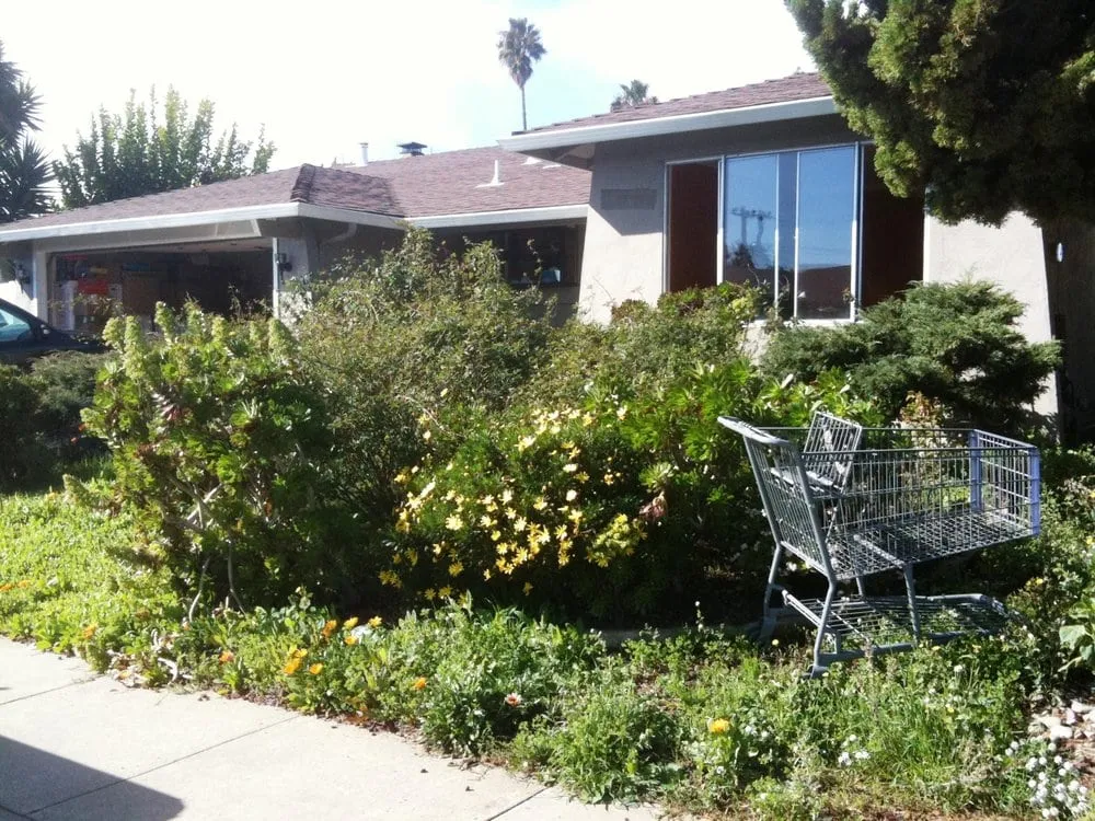 Trusted yard cleanup service in Livermore, CA - David's Landscaping Service